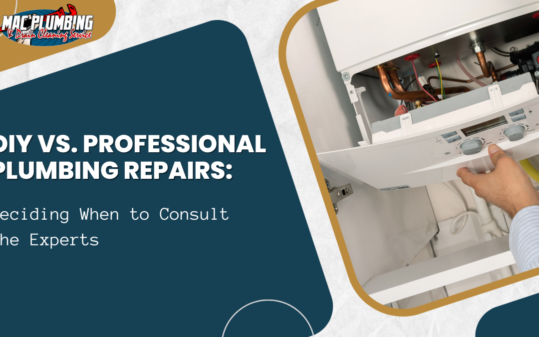 DIY vs. Professional Plumbing Repairs: Deciding When to Consult the Experts