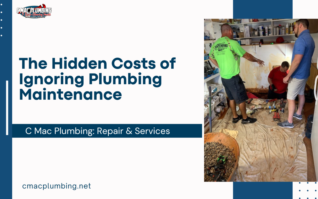 The Hidden Costs of Ignoring Plumbing Maintenance