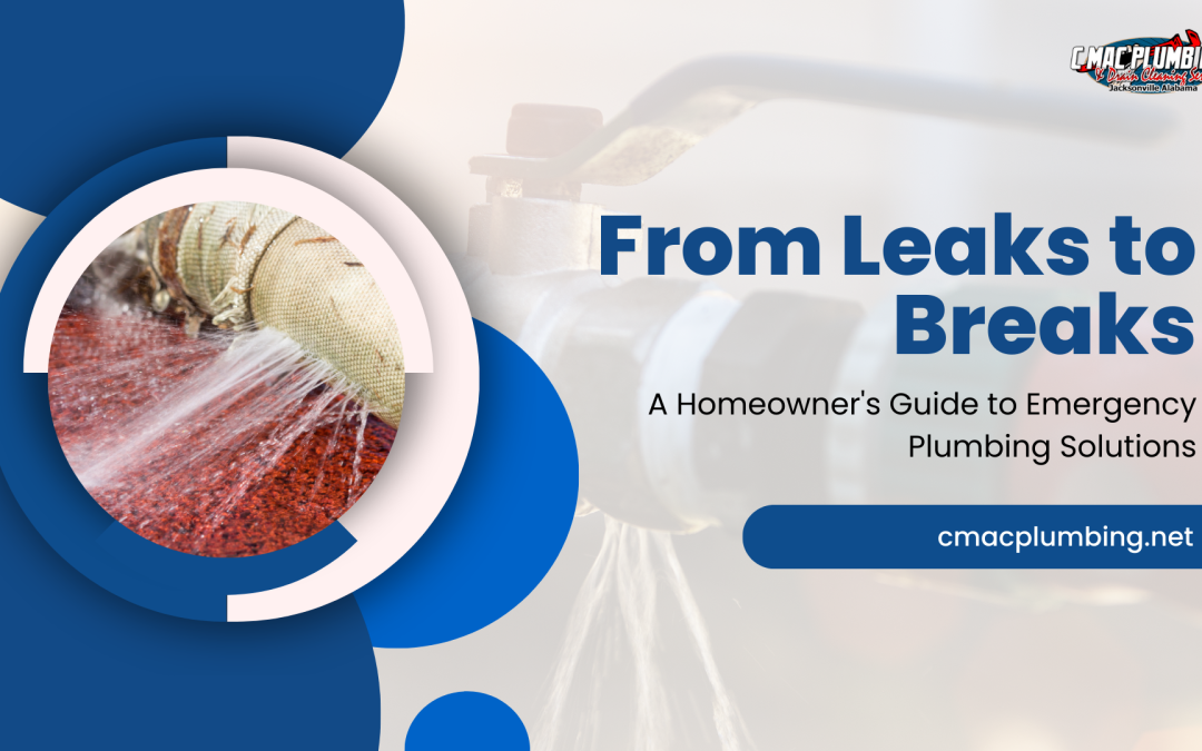 From Leaks to Breaks: A Homeowner’s Guide to Emergency Plumbing Solutions